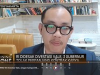 Pak Jokowi, Ambil Divestasi Vale Harusnya RI Jadi Pengendali