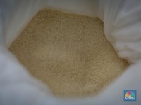 Produksi Melimpah, Impor Tetap Banjir: Ada Apa dengan Gula RI?