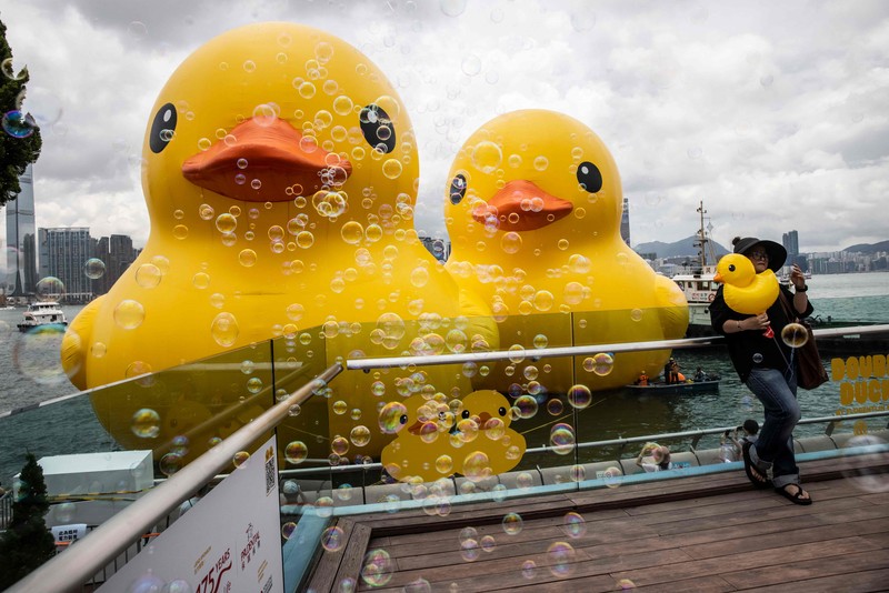 Seorang wanita berpose di depan dua bebek kuning tiup besar yang disebut Seorang wanita berpose di depan dua bebek kuning tiup besar yang disebut