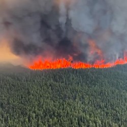 Potret Ngeri Kebakaran Hutan, Langit AS Memerah
