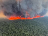 Potret Ngeri Kebakaran Hutan, Langit AS Memerah