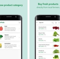 Kasus Korupsi Tanihub Seret Bos MDI Ventures, Manajemen Buka Suara