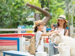 12 Cerita Pendek tentang Liburan Sekolah Berbagai Tema yang Menarik