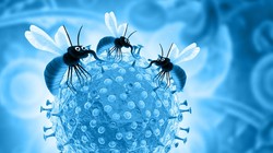 Video Suriname Dinyatakan Bebas Malaria, WHO: Tonggak Sejarah!