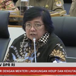 Begini Geramnya Menteri Jokowi RI Dituduh Jagoan Babat Hutan