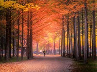 Cek! 10 Rekomendasi Wisata Anti-Mainstream di Korea Selatan