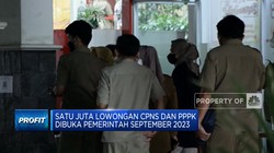Video: September 2023, Pemerintah Buka Lowongan CPNS dan PPPK