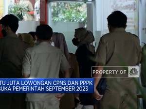  September 2023, Pemerintah Buka Lowongan CPNS dan PPPK