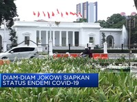 Video: Diam-Diam Jokowi Siapkan Status Endemi Covid-19