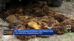 Pemerintah RI: Aturan Deforestasi Uni Eropa Diskriminatif!