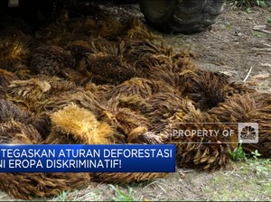Pemerintah RI: Aturan Deforestasi Uni Eropa Diskriminatif!