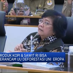 Video: RI Terus Tekan Deforestasi, Ini Buktinya!