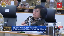 Video: RI Terus Tekan Deforestasi, Ini Buktinya!