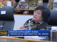 Video: RI Terus Tekan Deforestasi, Ini Buktinya!