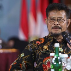 Sapi Impor Australia Terdeteksi 'Bawa' Virus, Ini Kata Mentan