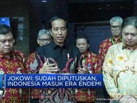 Jokowi: Sudah Diputuskan, Indonesia Masuk Era Endemi