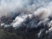 Horor Kebakaran Hutan Dahsyat di Kazakhstan, 14 Pekerja Gugur