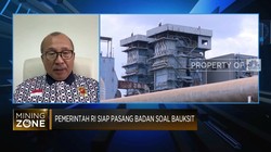 Pemerintah Pasang Badan Soal Bauksit, Ini Kata Pengusaha