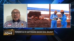 Soal Smelter Bauksit, Pengusaha Berharap Bantuan Pemerintah