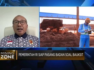 Soal Smelter Bauksit, Pengusaha Berharap Bantuan Pemerintah