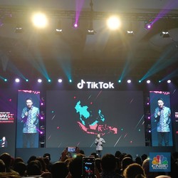 Luhut, Politik Kampungan, & Fakta 113 Juta Pengguna TikTok RI