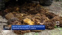 Produk Sawit RI Dijegal, BPDPKS: Itu Trik Perang Dagang!