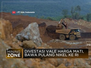 Divestasi Vale Harga Mati, Bawa Pulang Nikel Ke RI
