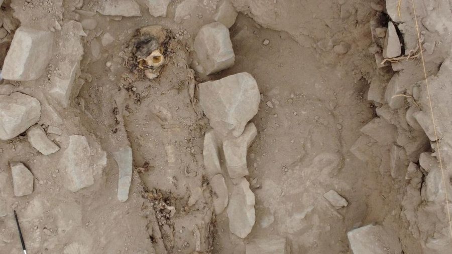 Sisa-sisa mumi, diyakini berasal dari budaya Manchay yang berkembang di lembah Lima antara 1.500 dan 1.000 SM, digambarkan di situs penggalian pemakaman pra-Hispanik, di Lima, Peru, 14 Juni 2023. (REUTERS/Alfredo Galarza)