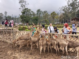 50 Lebih Destinasi Wisata yang Cocok untuk Liburan Akhir Tahun
