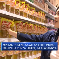 Ini Alasan Minyak Goreng Sawit Lebih Murah Dari Migor Eropa