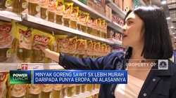 Ini Alasan Minyak Goreng Sawit Lebih Murah Dari Migor Eropa