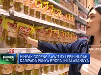 Ini Alasan Minyak Goreng Sawit Lebih Murah Dari Migor Eropa