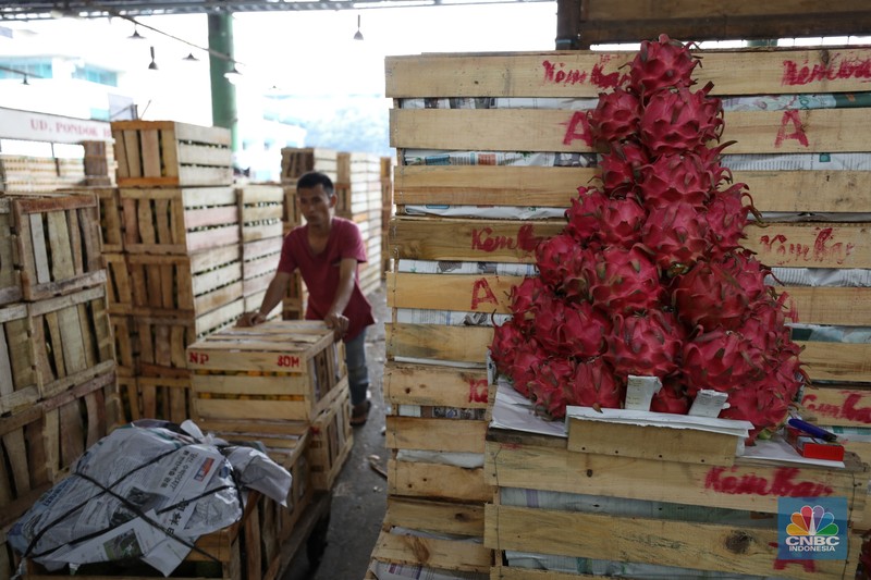 Pekerja melakukan bongkar muat buah impor dari China yang akan dipasarkan di Pasar Induk Kramat Jati, Jakarta, Senin (19/6/2023). Pekerja melakukan bongkar muat buah impor dari China yang akan dipasarkan di Pasar Induk Kramat Jati, Jakarta, Senin (19/6/2023). (CNBC Indonesia/Tri Susilo)