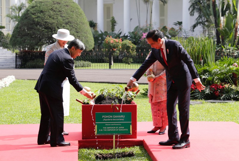 Presiden Joko Widodo terima kunjungan Kaisar Jepang Naruhito. (AP Photo/Achmad Ibrahim, Pool)