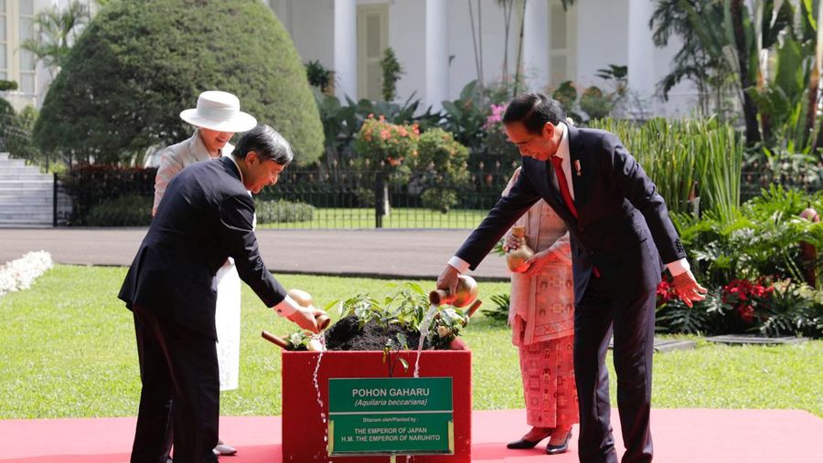 Presiden Joko Widodo terima kunjungan Kaisar Jepang Naruhito. (AP Photo/Achmad Ibrahim, Pool)