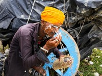 Neraka Bocor, 9 Orang di India Tewas Akibat Gelombang Panas