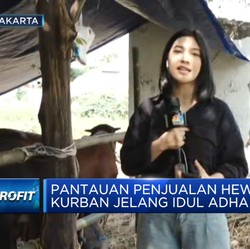 Video: Laris Manis Penjualan Hewan Kurban Jelang Iduladha