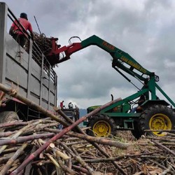 Pabrik Gula Siap Dibangun di Papua, Lokasinya di Sini