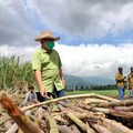 Gak Cuma Pertamina, Penyalur BBM di RI Didorong ke Bioetanol