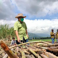 Gak Cuma Pertamina, Penyalur BBM di RI Didorong ke Bioetanol