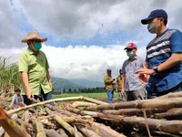 Gak Cuma Pertamina, Penyalur BBM di RI Didorong ke Bioetanol