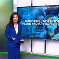 Video: Pandemi Jadi Endemi, Pasien Covid-19 Bayar Sendiri