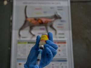 Catat! Ini Enam Faskes di Palembang yang Sediakan Vaksin Anti Rabies
