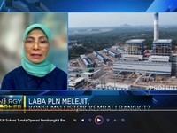 PLN Tunda Operasi Pembangkit Baru, Efek Mau Suntik Mati PLTU?