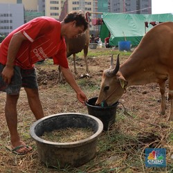 Ini Bacaan Doa Ketika Menerima Daging Kurban Saat Idul Adha