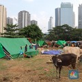 Libur Idul Adha 5 Hari, Boleh Ngutang Buat Liburan?