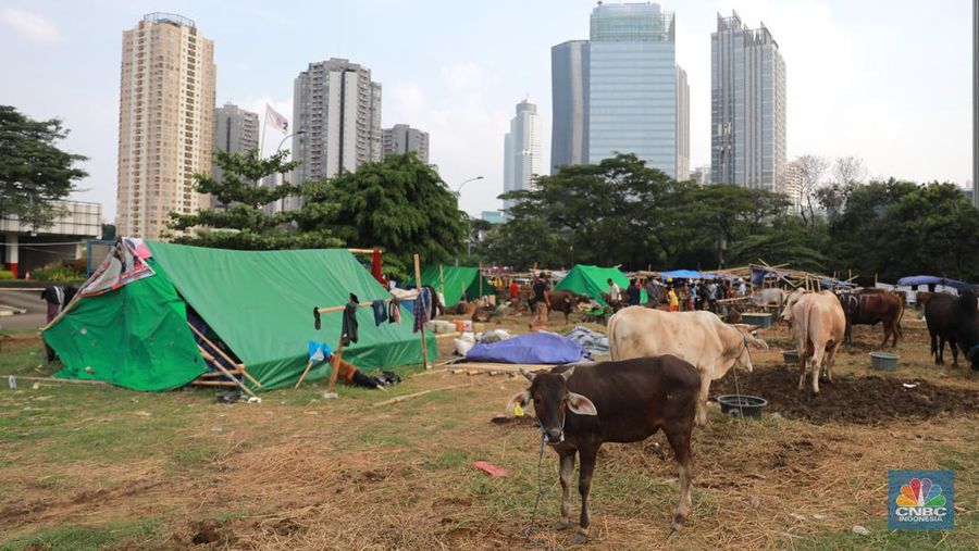 Suasana penjulan hewan kurban pada salah satu lapak di kawasan Kuningan, Jakarta, Selasa, (20/6/2023). (CNBC Indonesia/Miuhammad Sabki)