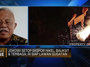 Video: Sulit Dapat Investor, Hilirisasi Bauksit Cs Terhambat?
