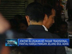 Jokowi Tinjau Harga Pangan di Pasar Jelang Iduladha