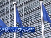 Demi Akhiri Perang Rusia-Ukraina, UE Minta Bantuan China